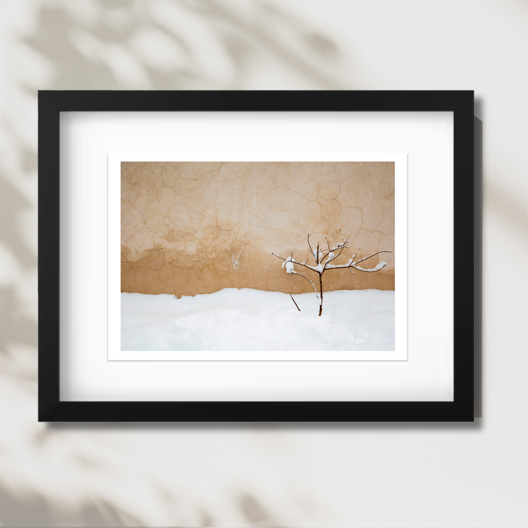 Warm Snow