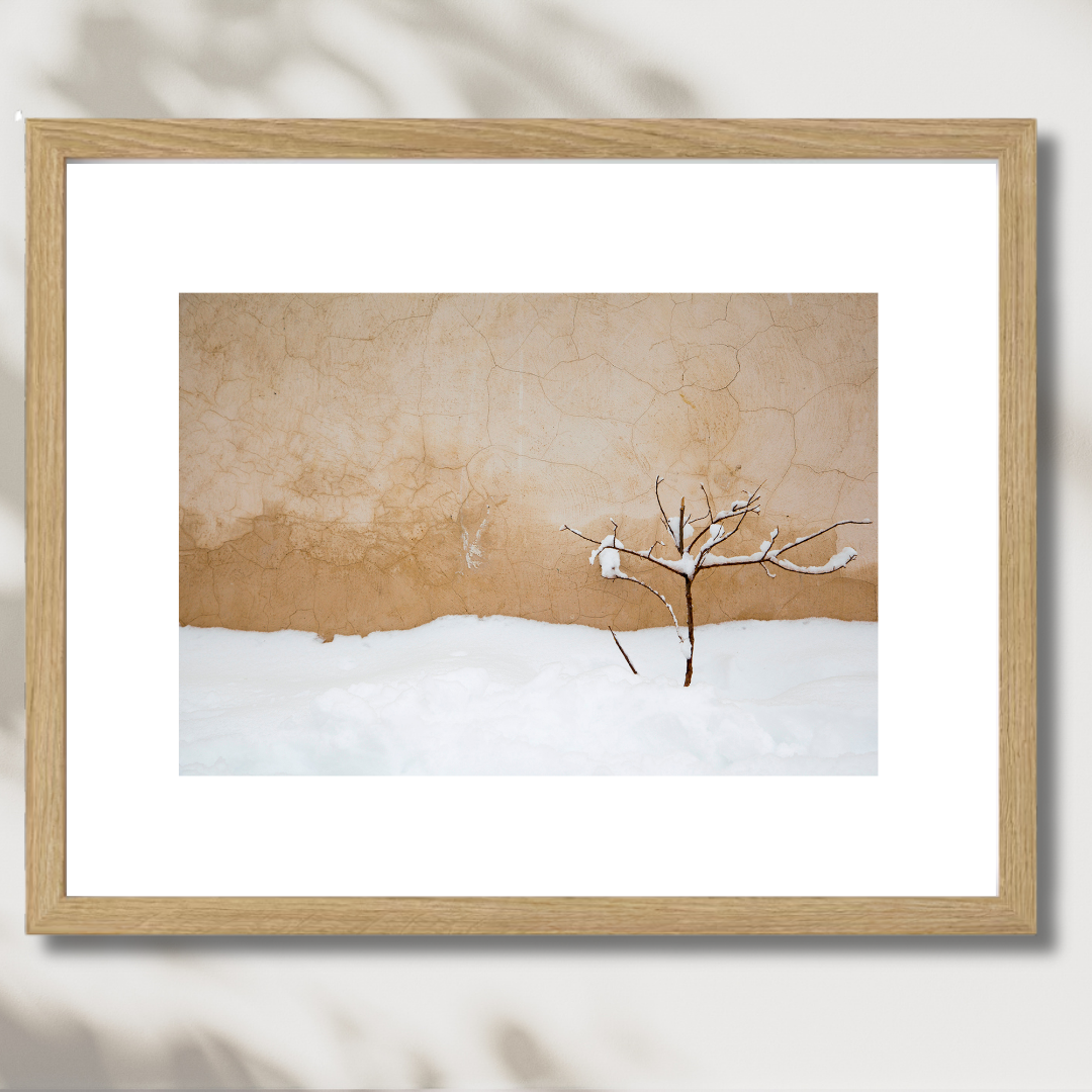 Warm Snow