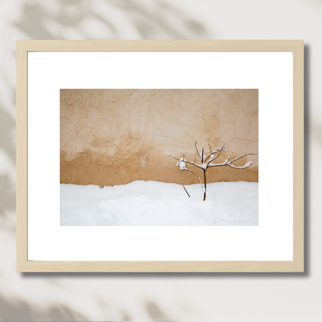 Warm Snow