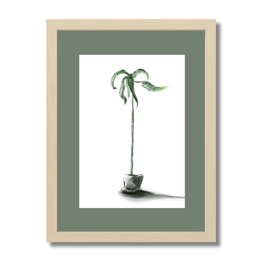 Plant 1