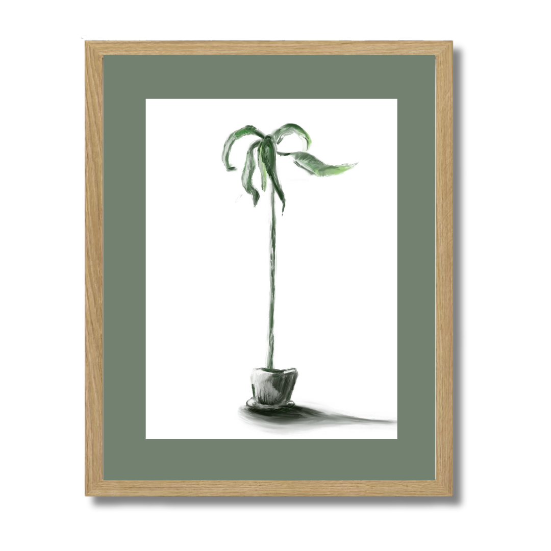 Plant 1