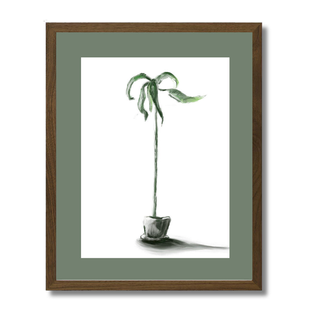 Plant 1