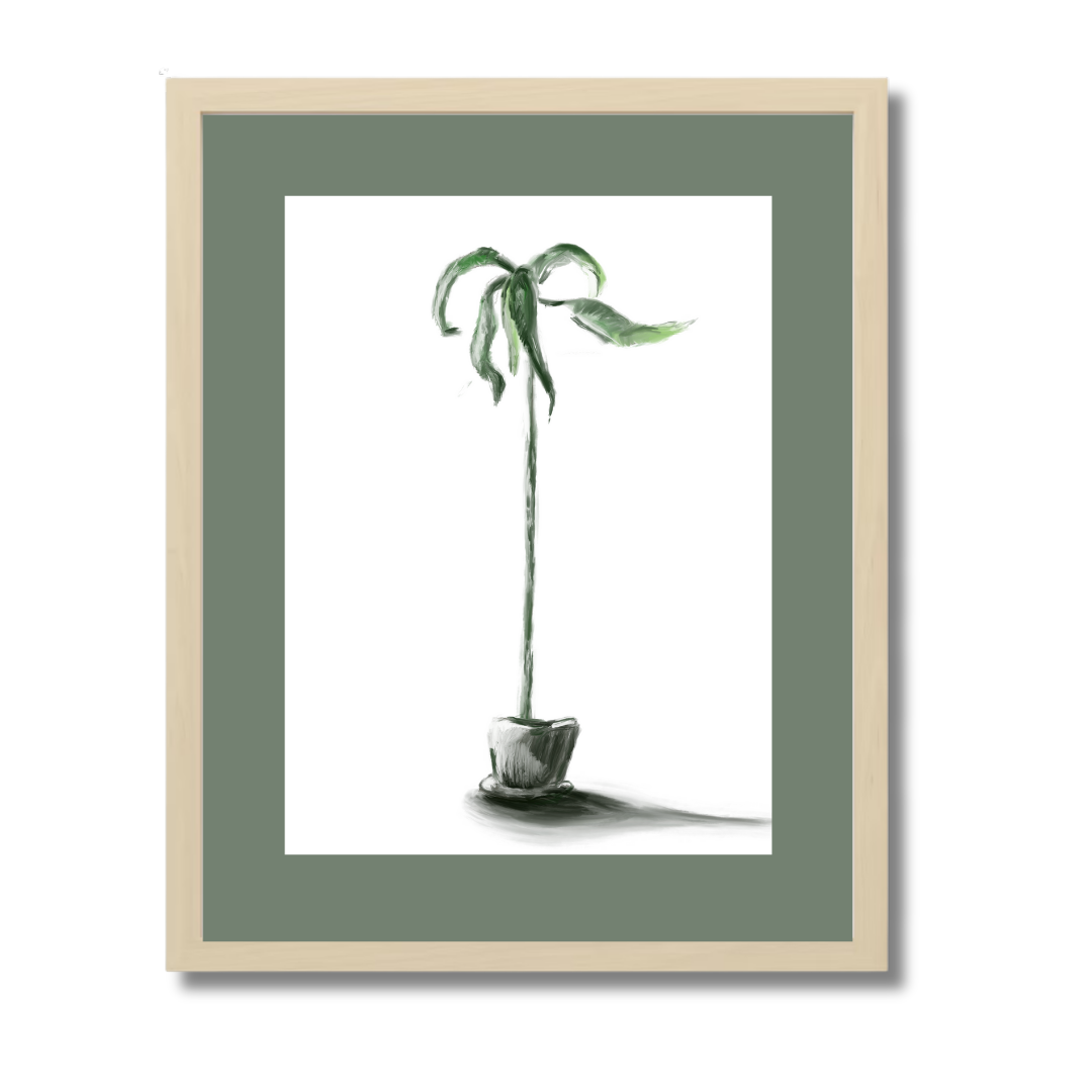 Plant 1