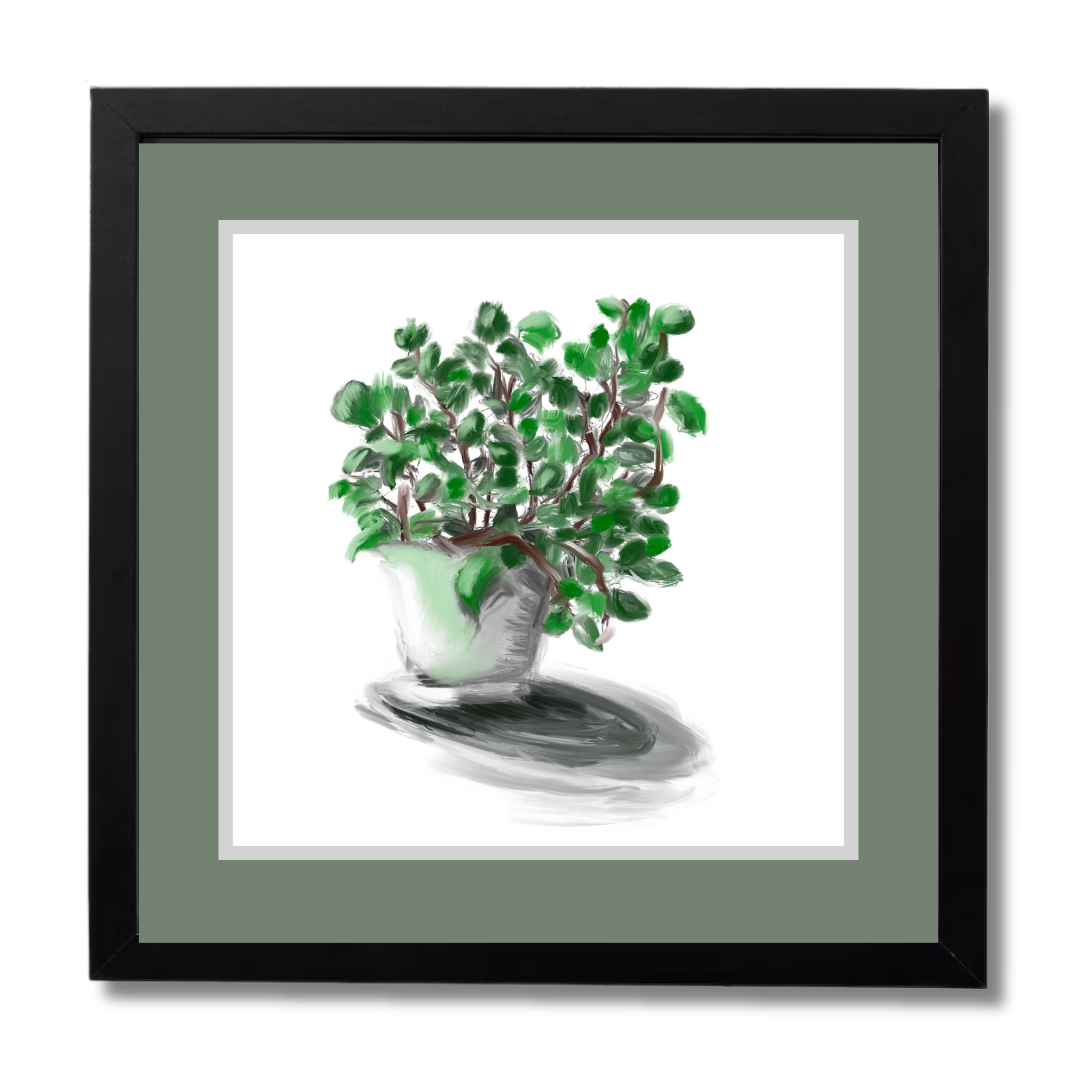 Plant 2
