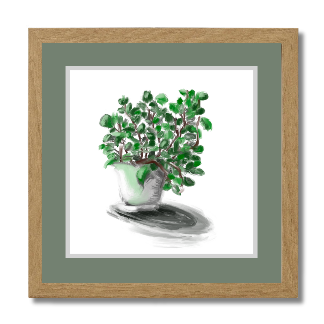 Plant 2