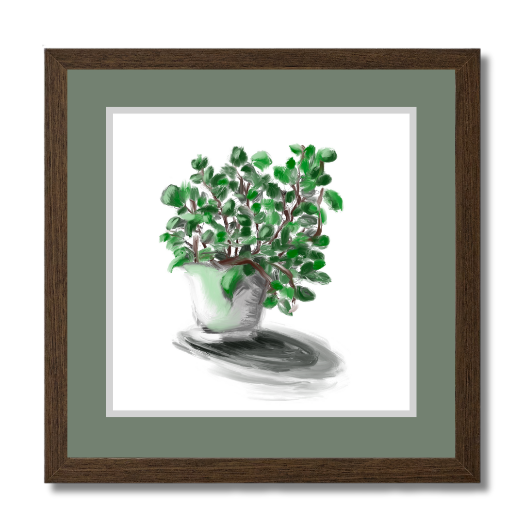 Plant 2