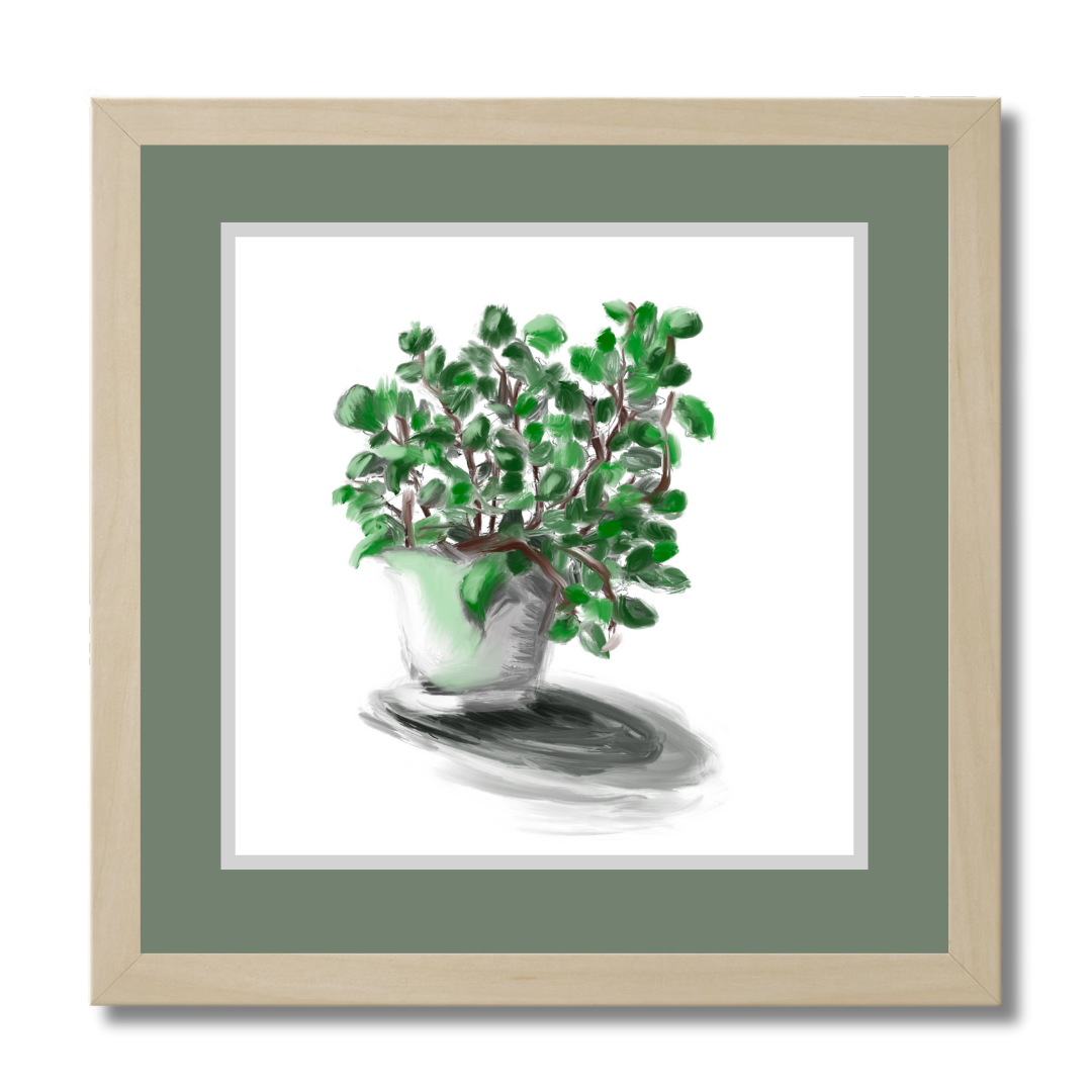 Plant 2