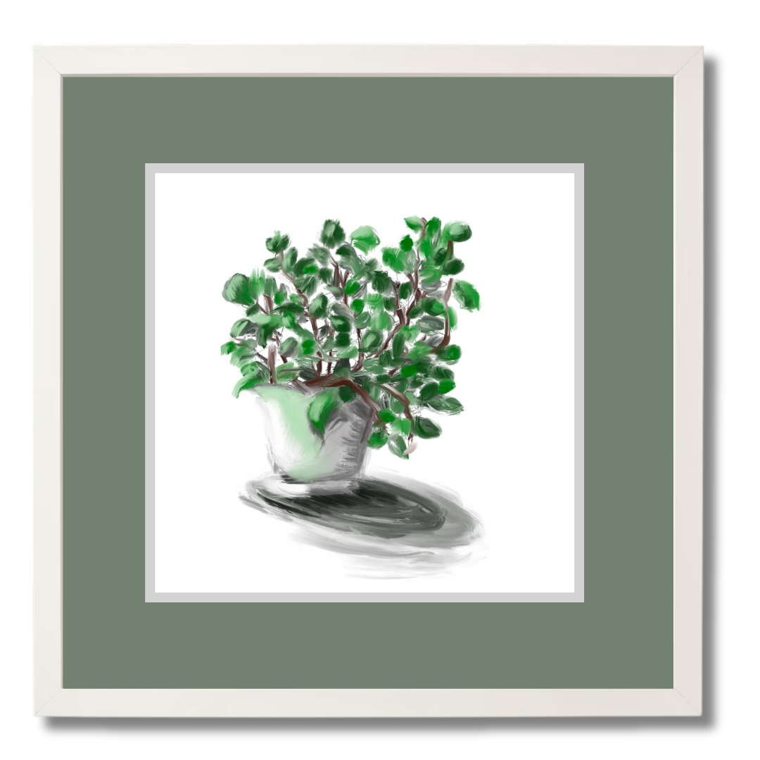 Plant 2