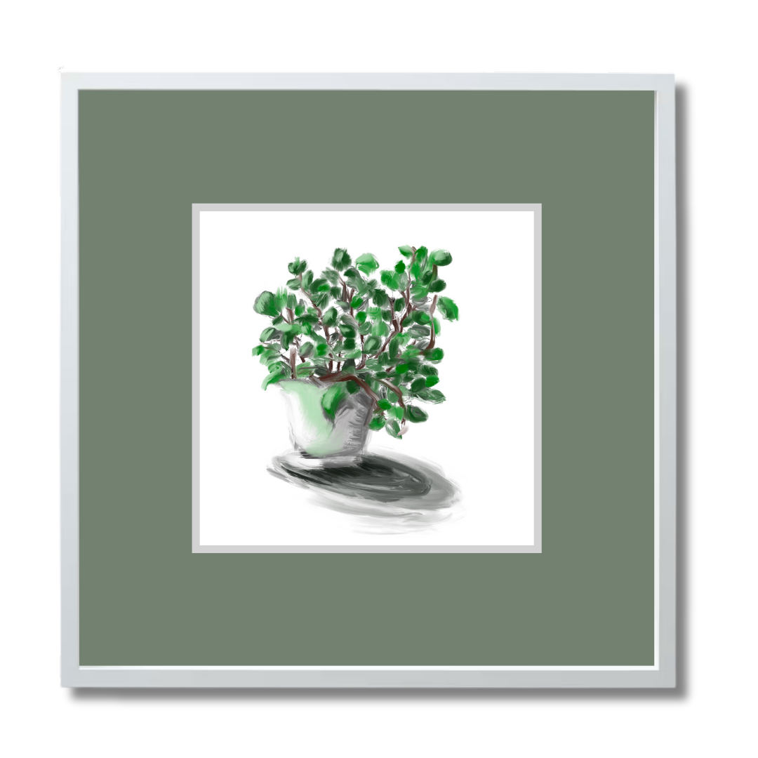 Plant 2