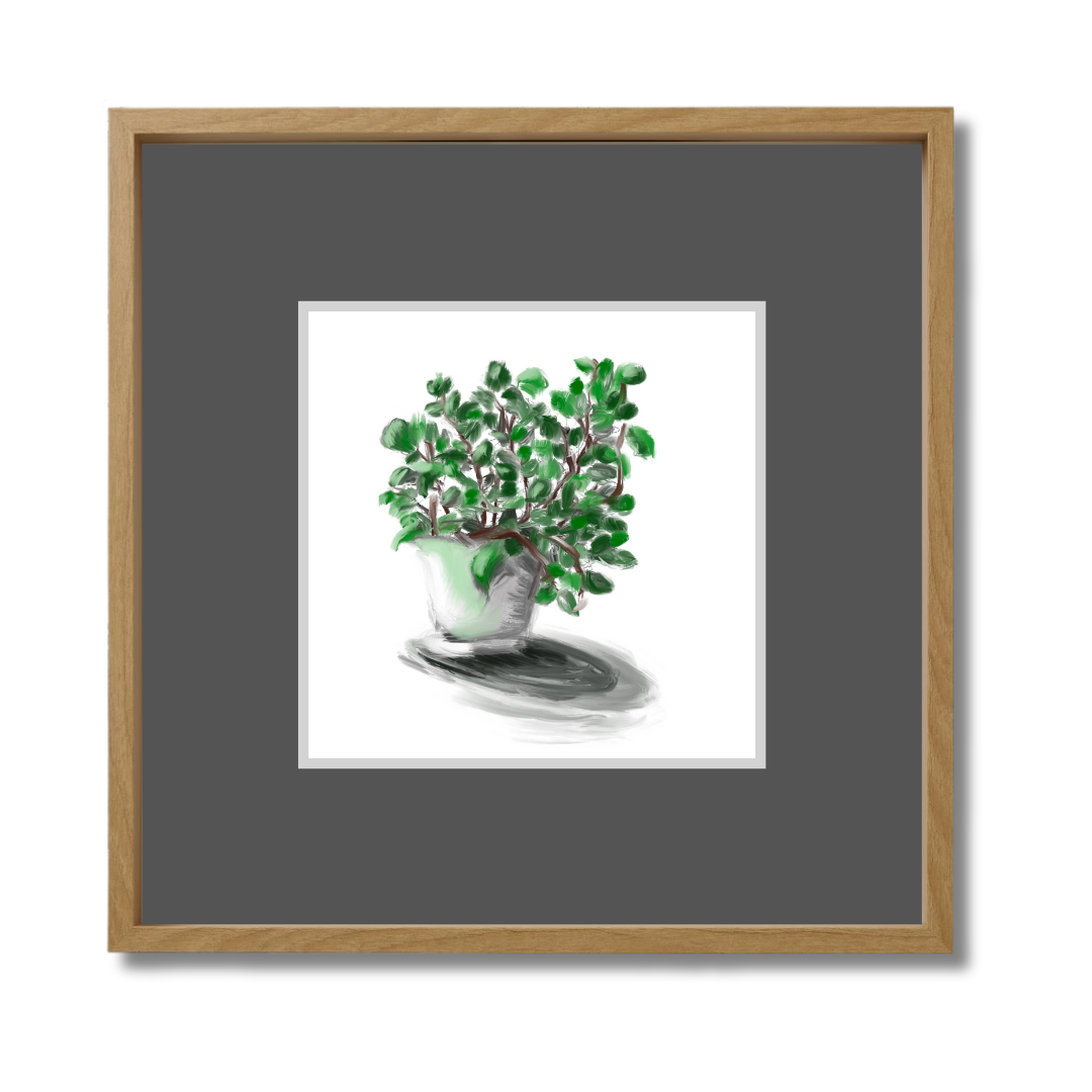 Plant 2