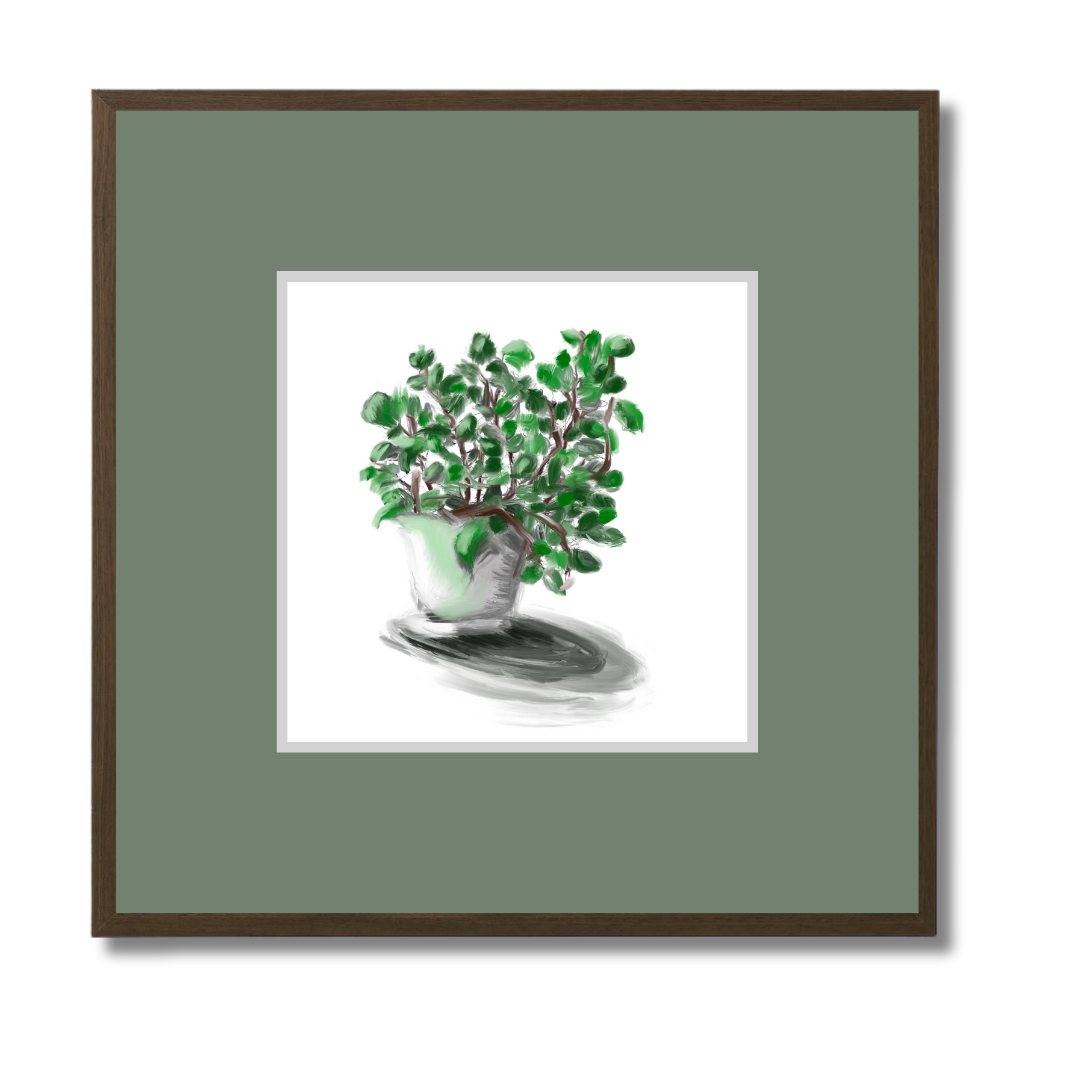 Plant 2