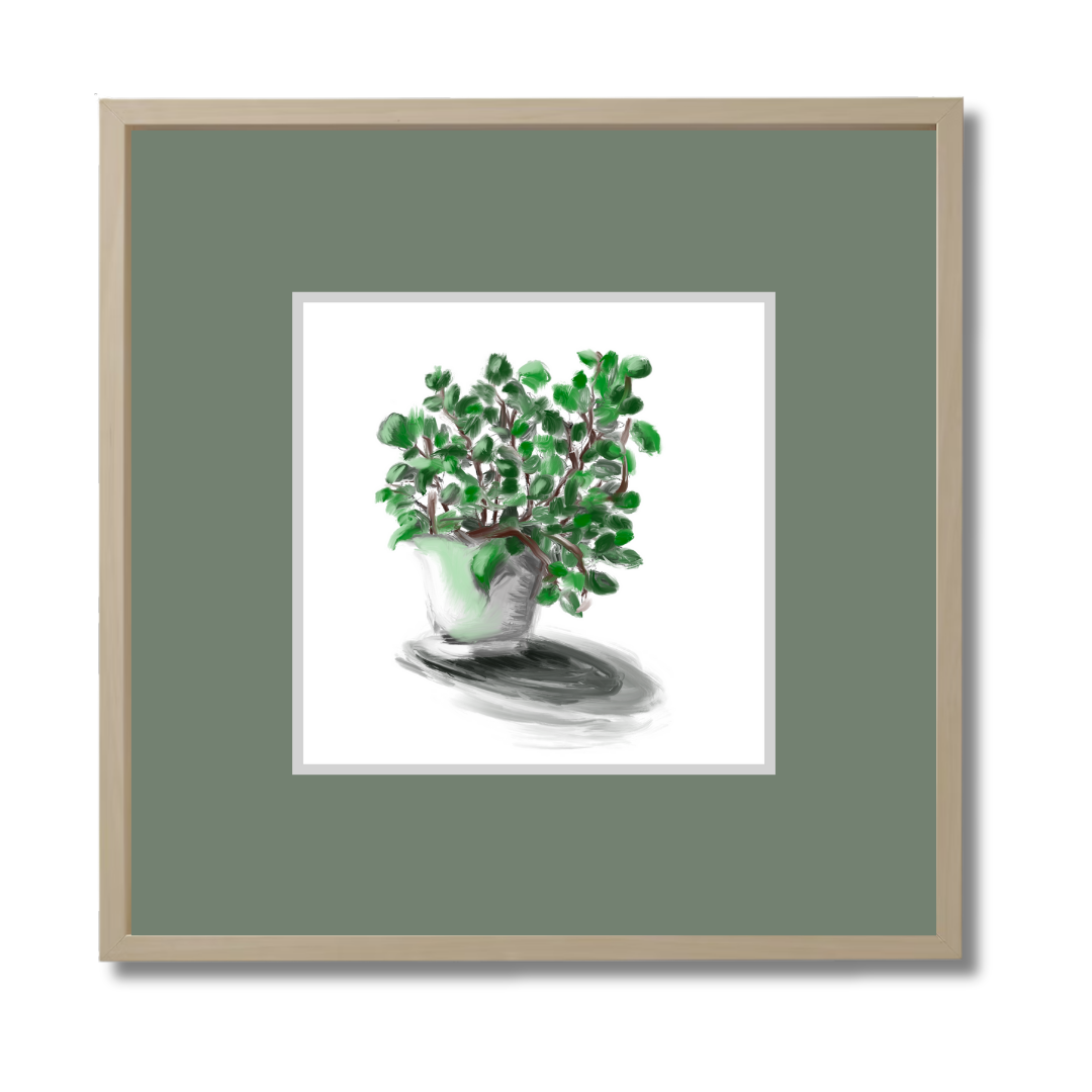 Plant 2
