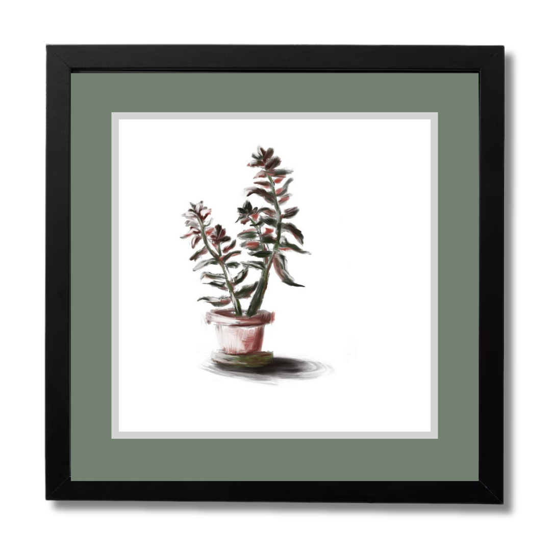 Plant 3