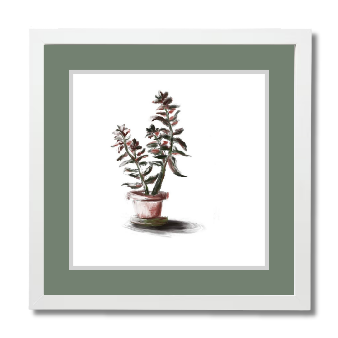 Plant 3
