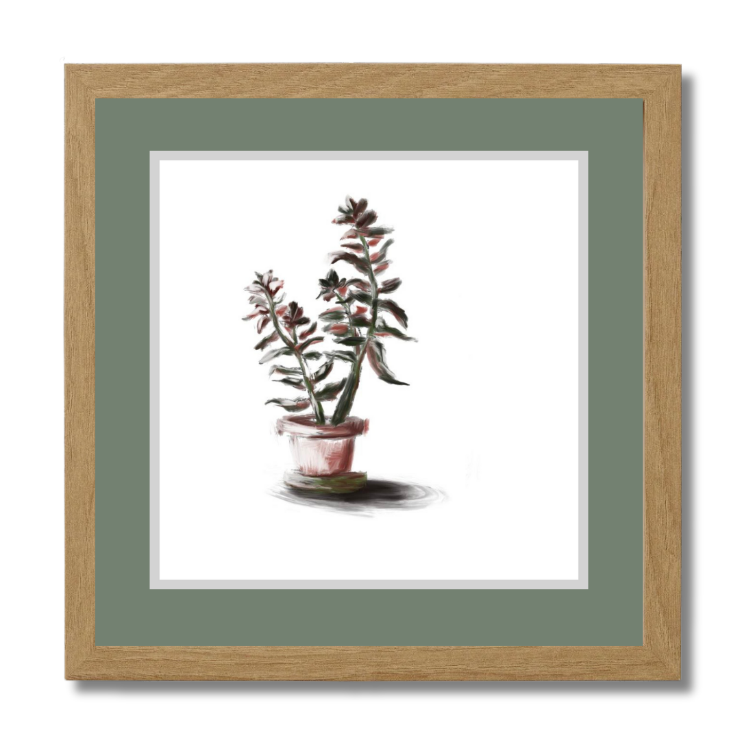 Plant 3