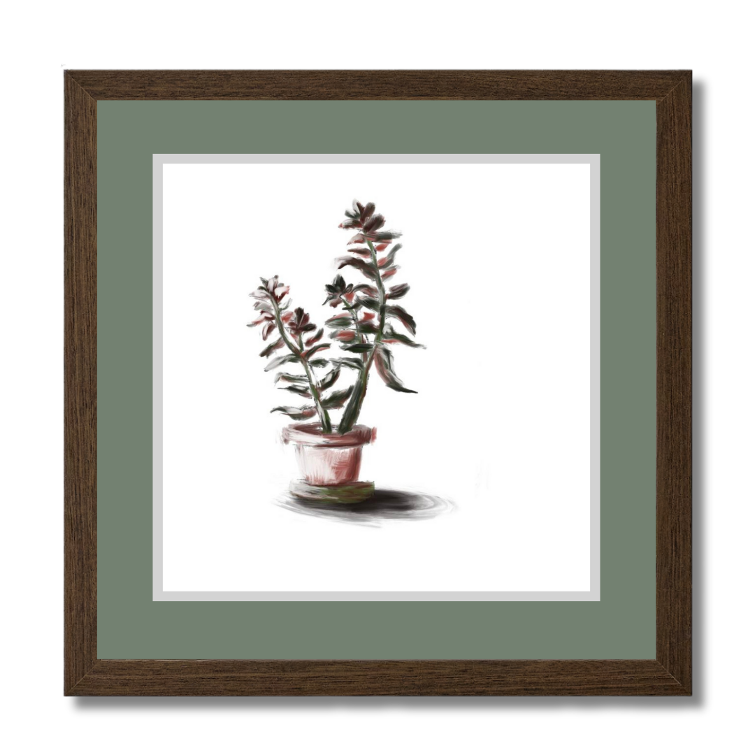 Plant 3