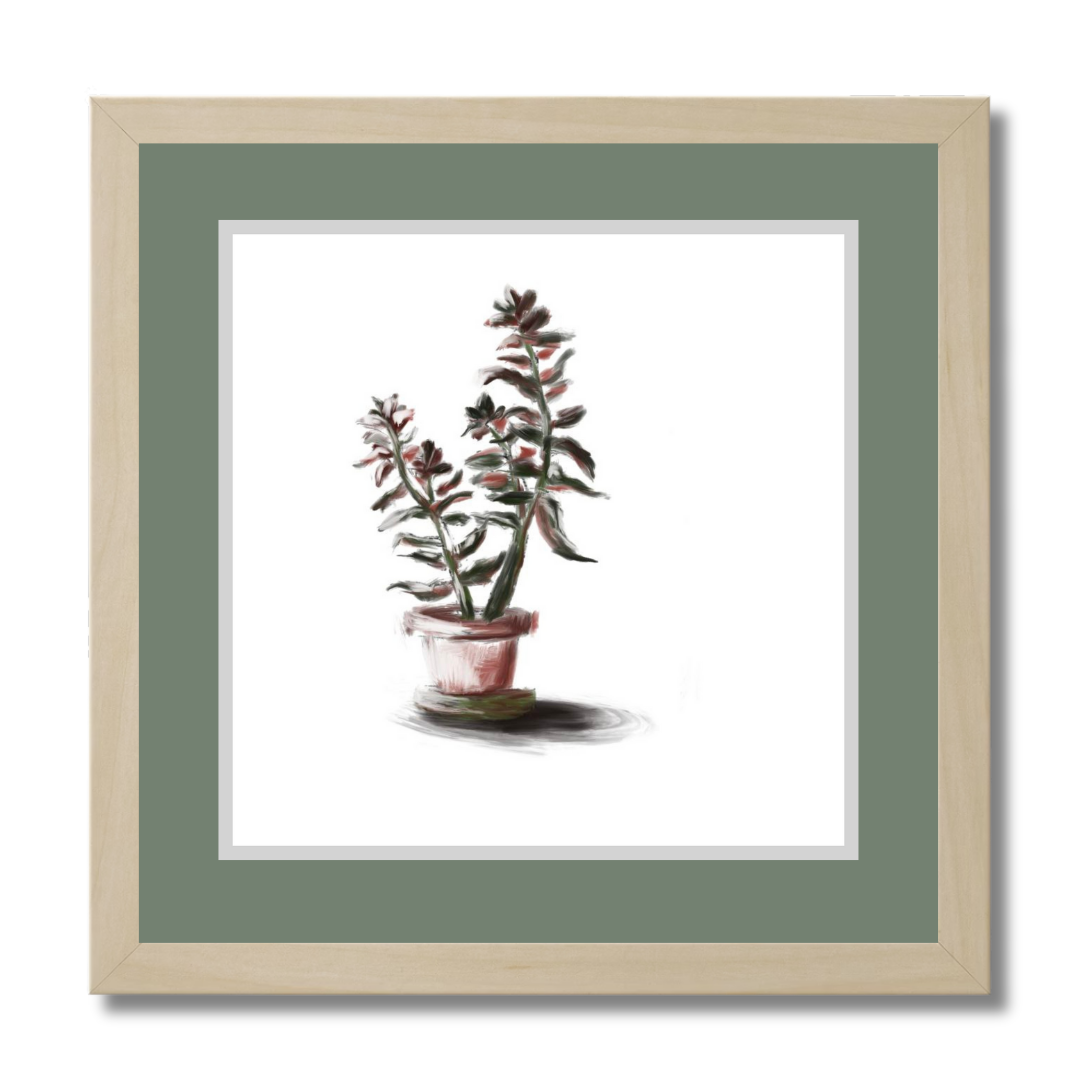 Plant 3