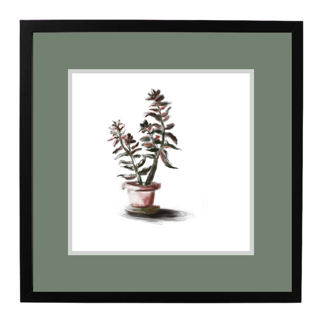 Plant 3