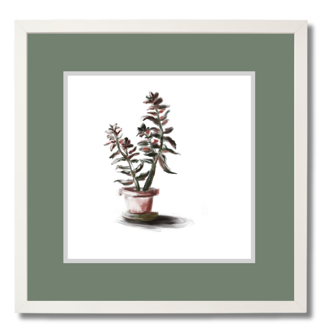 Plant 3
