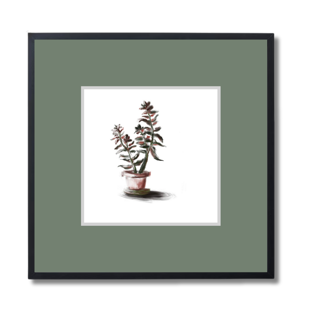 Plant 3