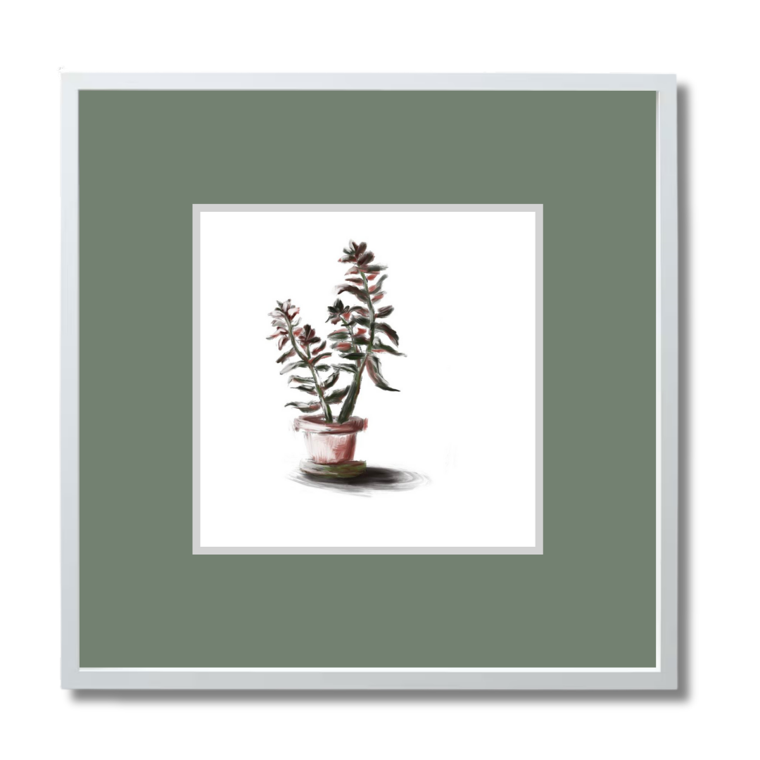 Plant 3