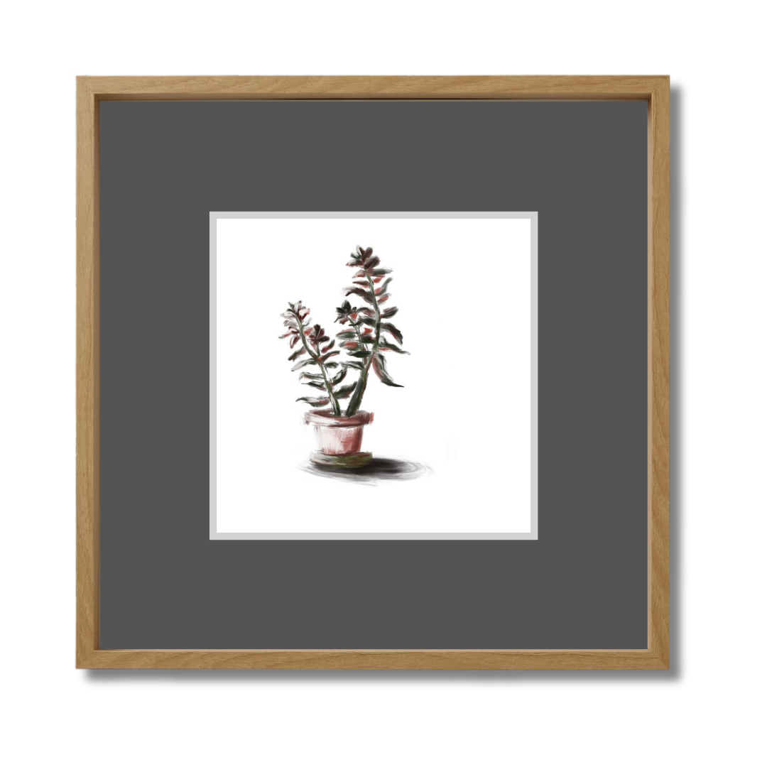 Plant 3