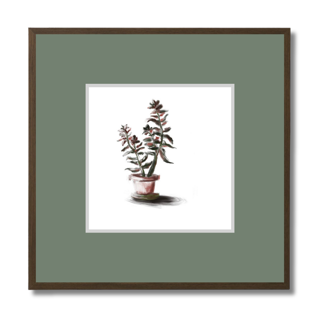 Plant 3