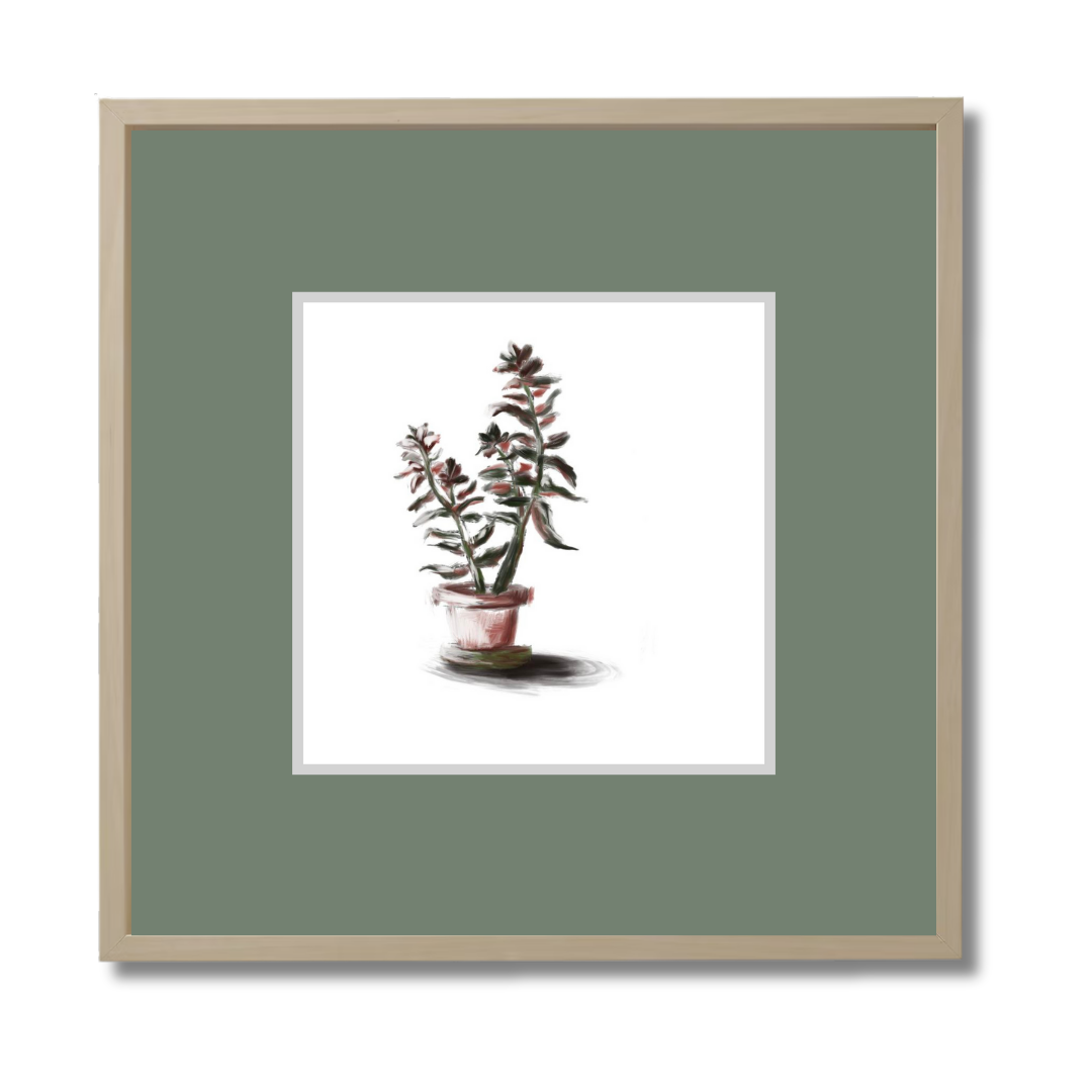 Plant 3