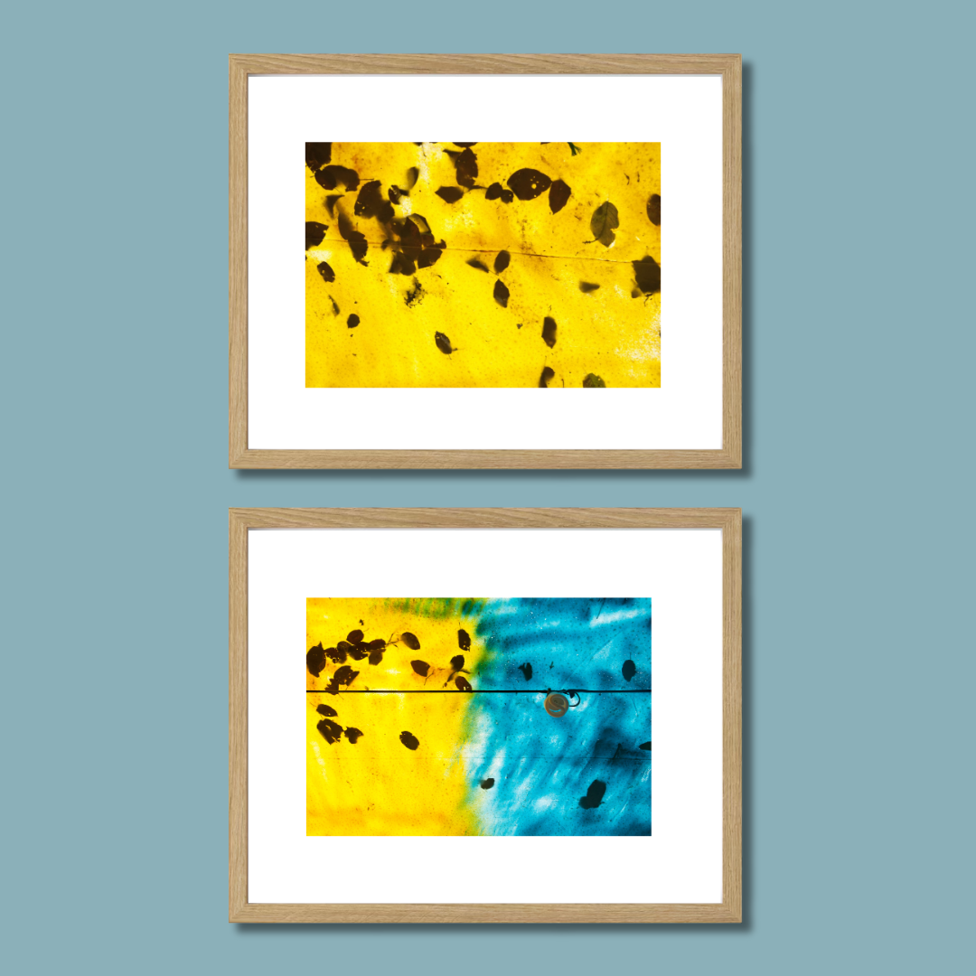 Gallery Wall Set – Harmony