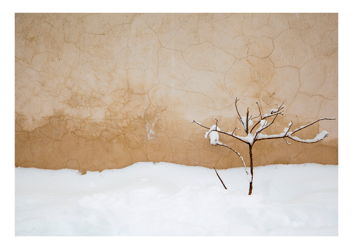 Warm Snow