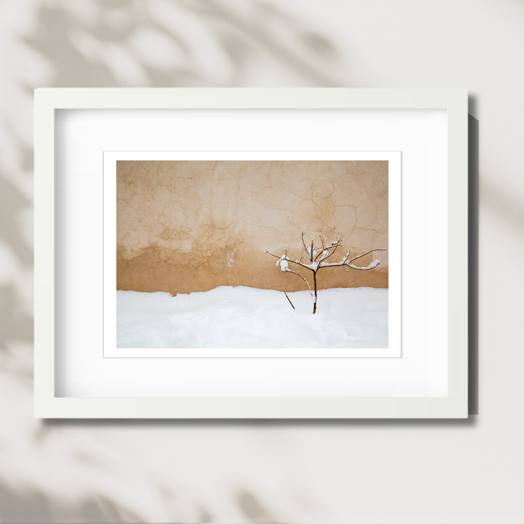 Warm Snow