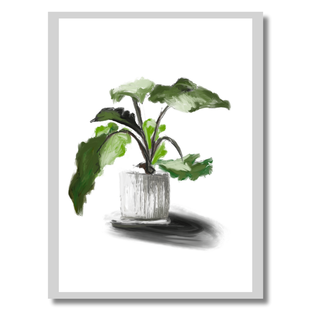 Plant 5