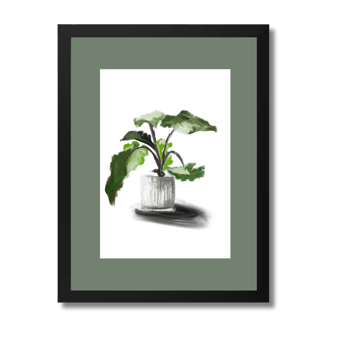 Plant 5