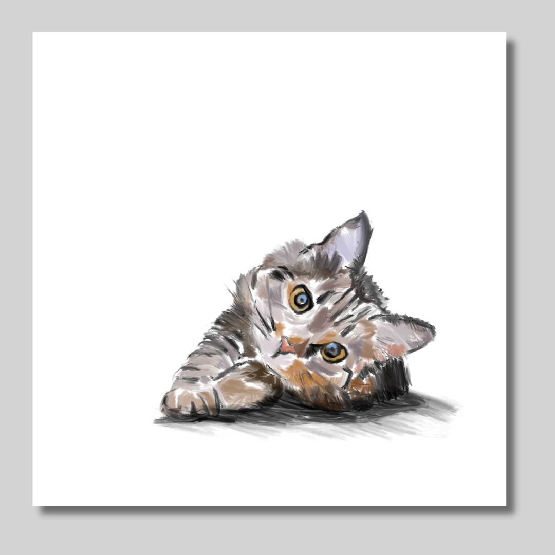 Cat Cat