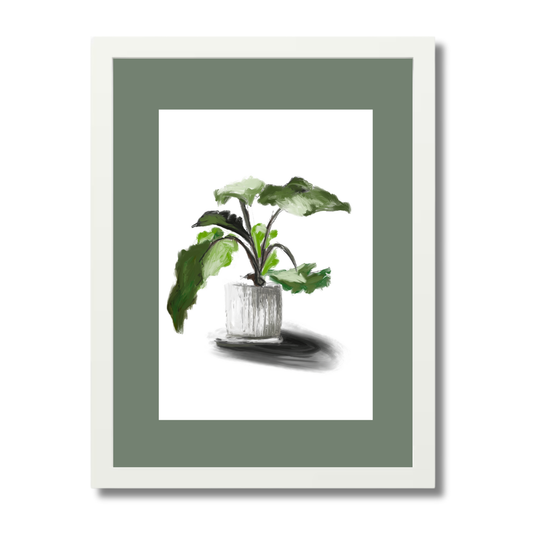 Plant 5