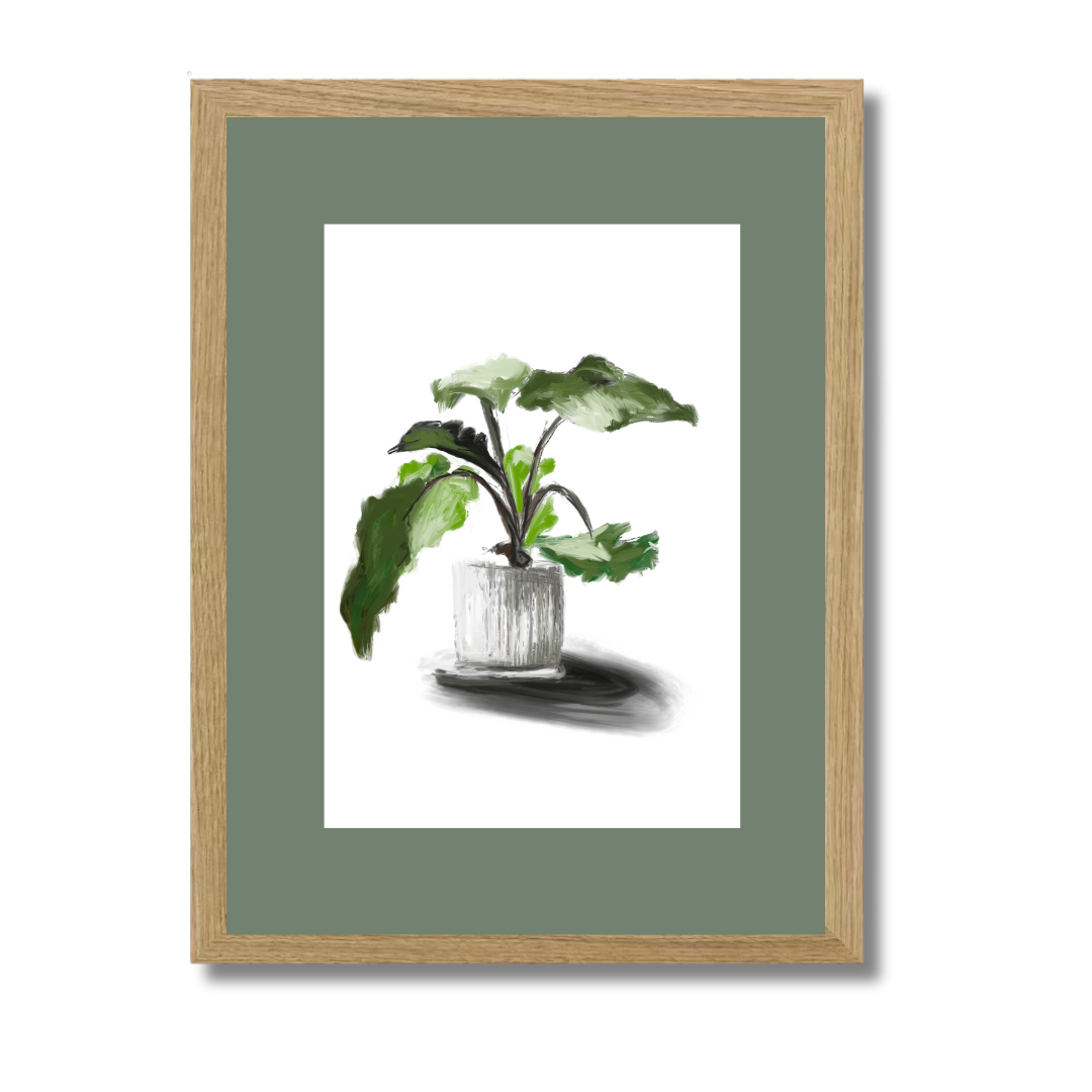 Plant 5
