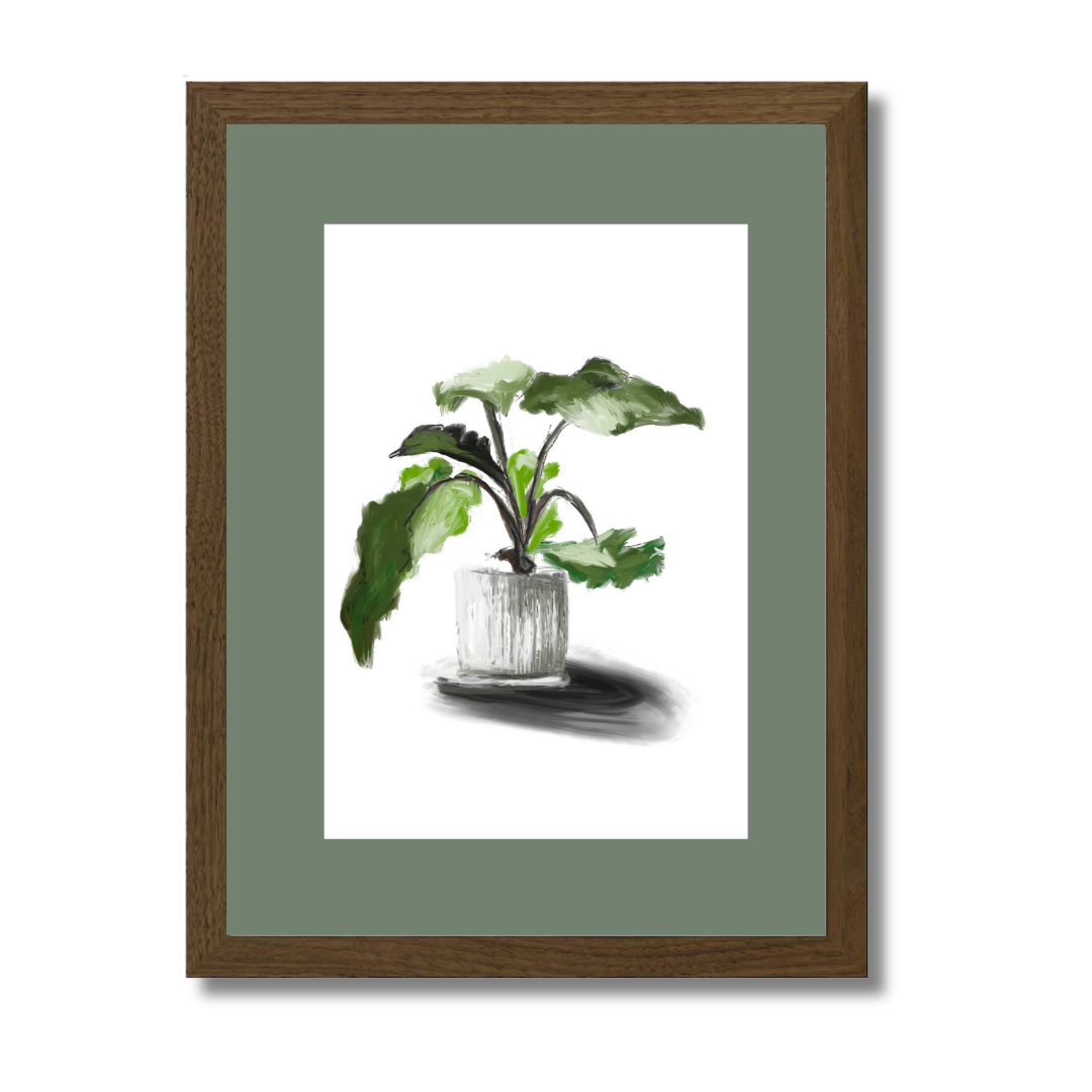 Plant 5