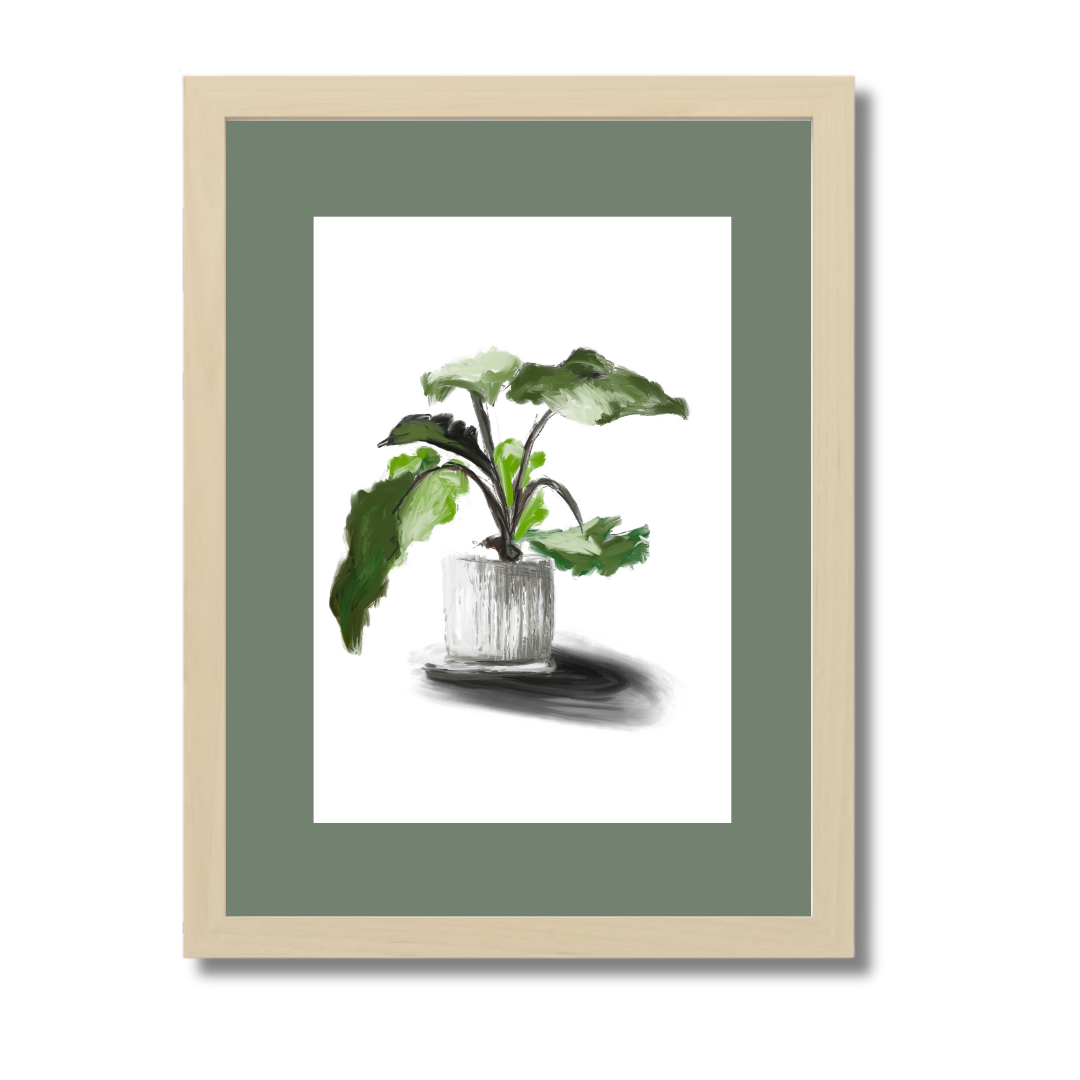 Plant 5