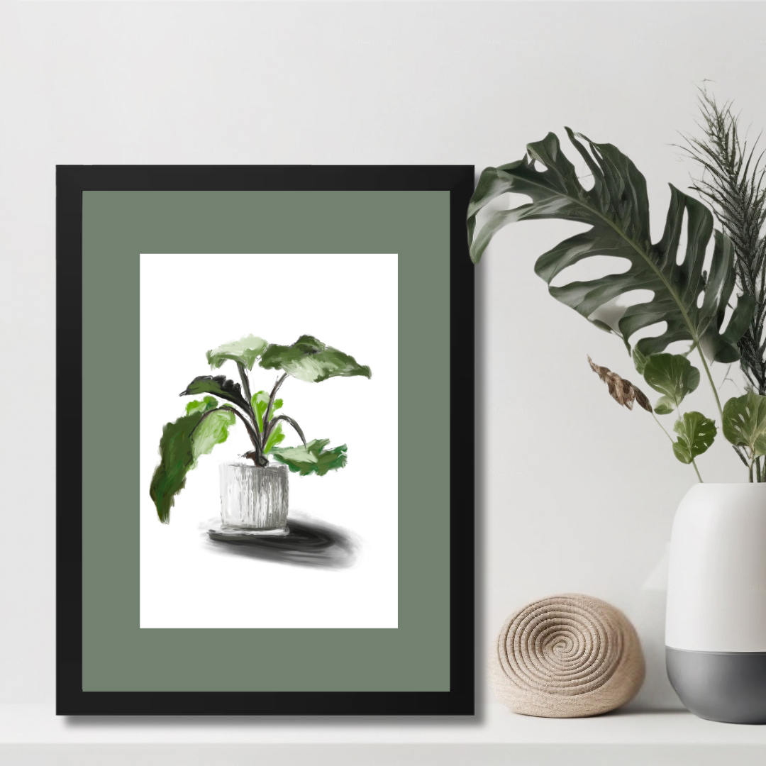 Plant 5