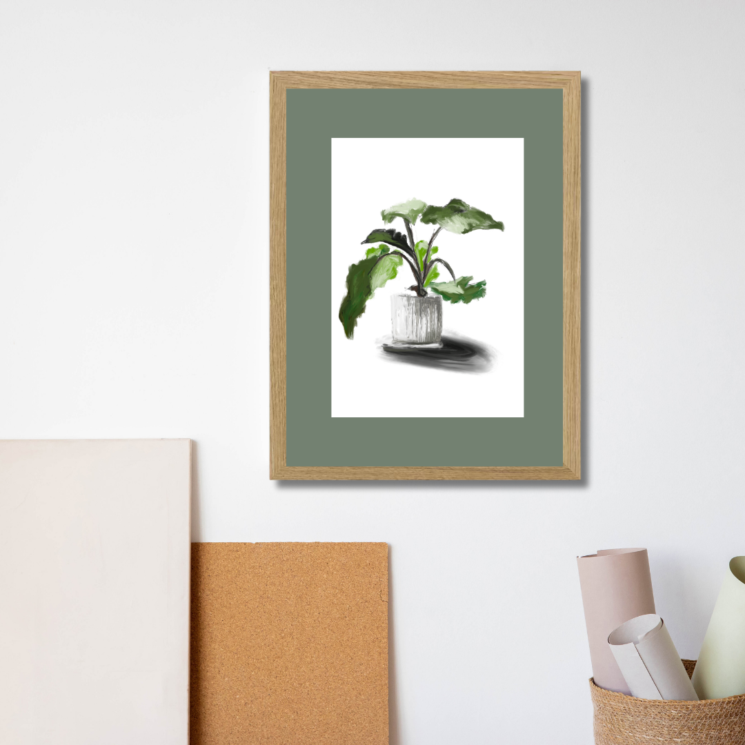 Plant 5