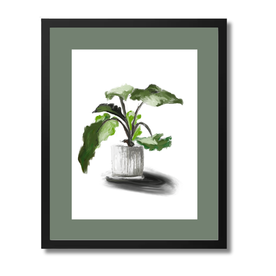 Plant 5