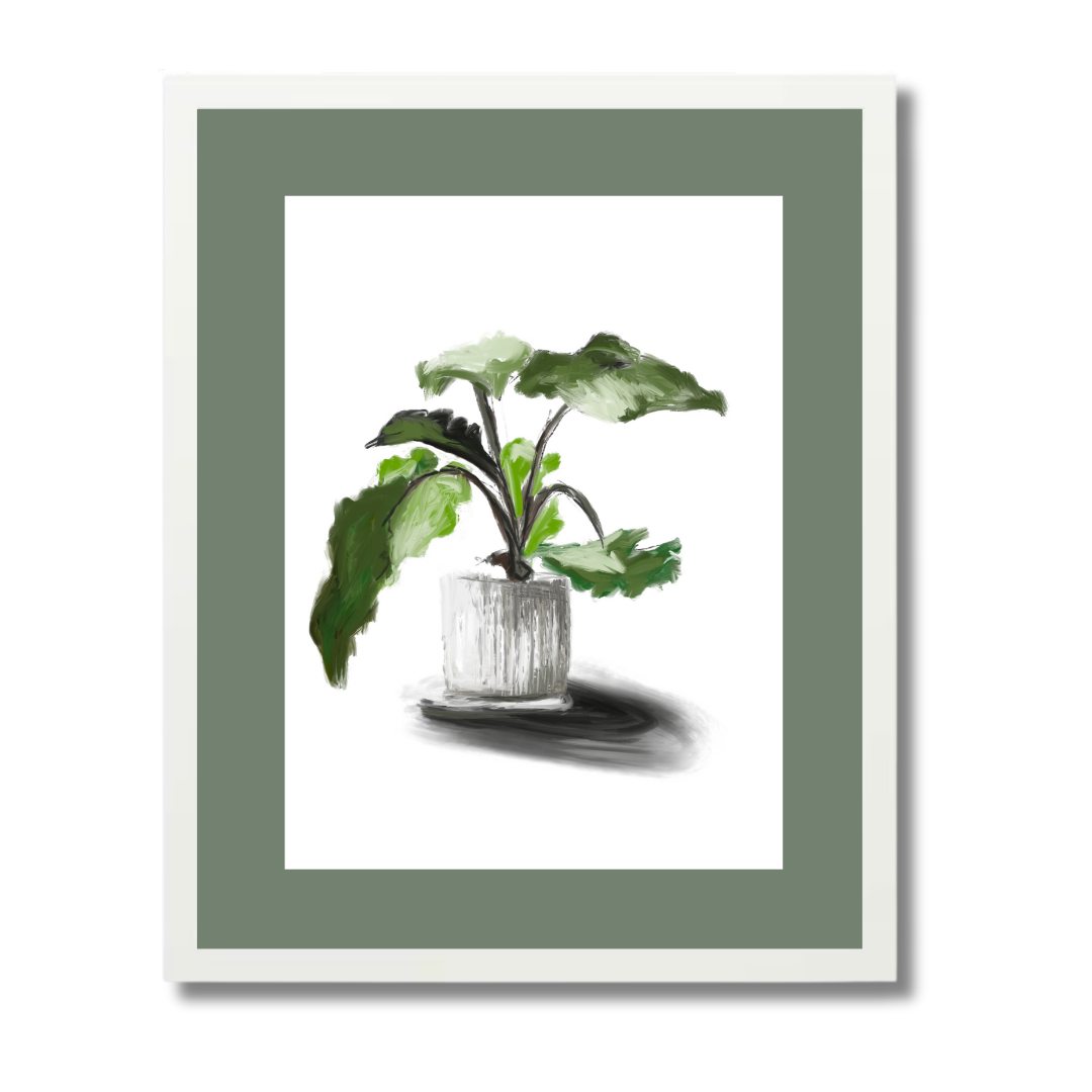 Plant 5
