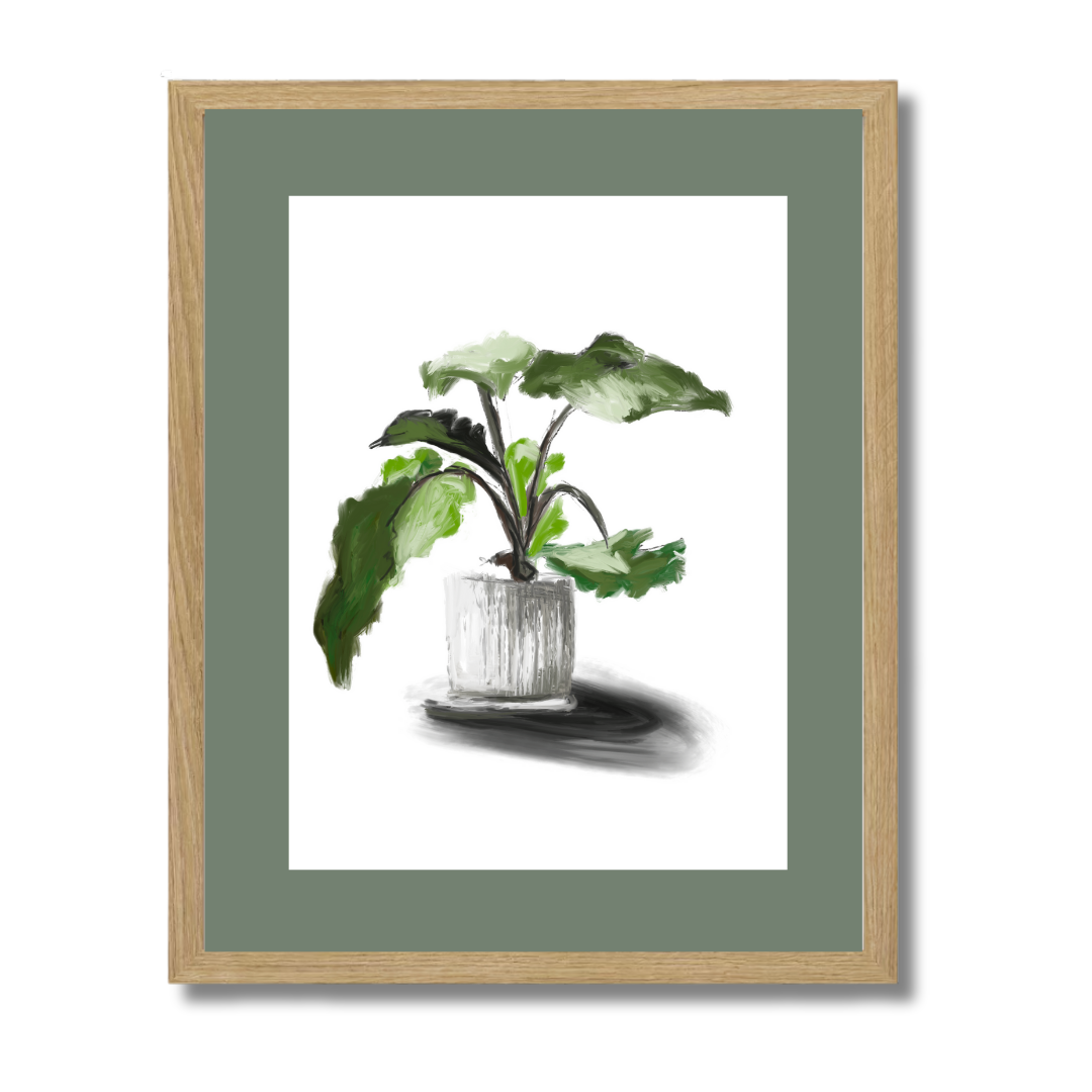 Plant 5