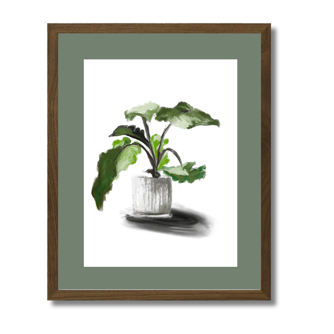 Plant 5
