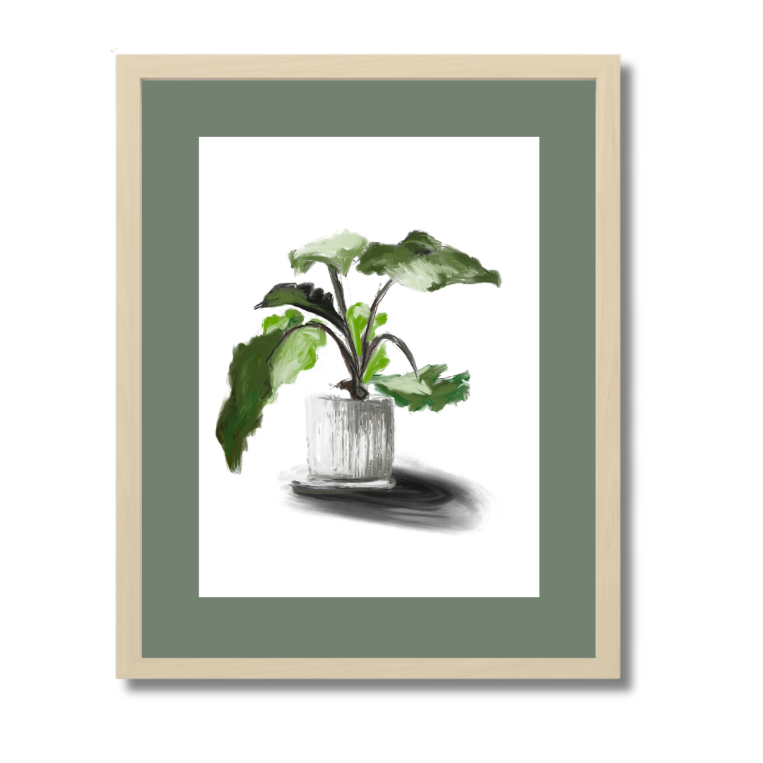 Plant 5