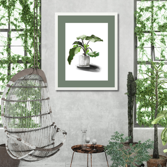 Plant 5