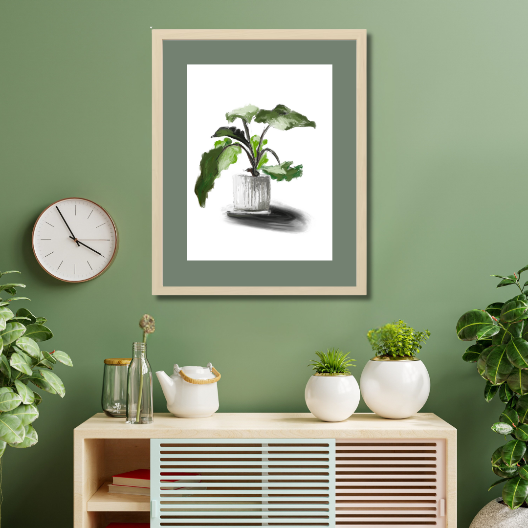 Plant 5