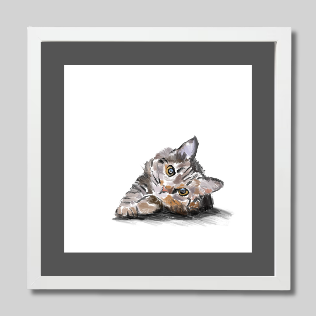 Cat Cat