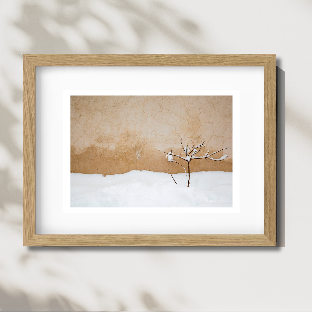 Warm Snow
