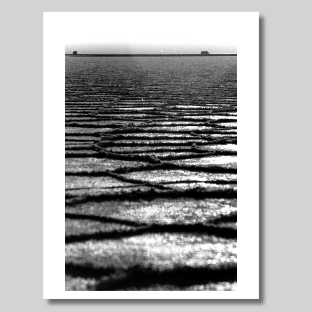 Gallery Wall Set: Far Away